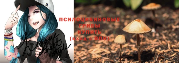 винт Алексин