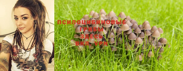 прущие грибы Алексеевка