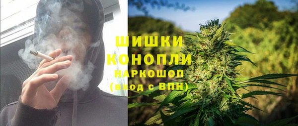 прущие грибы Алексеевка