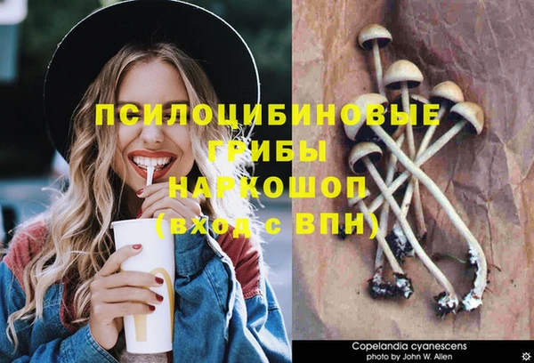 не бодяженный Алзамай