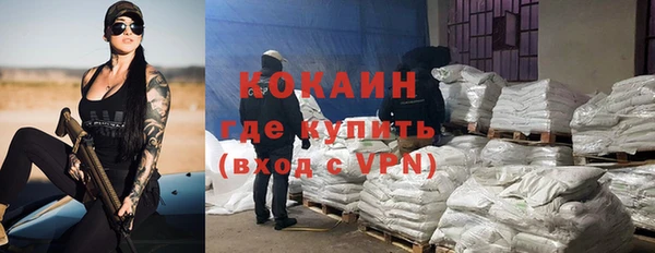 винт Алексин