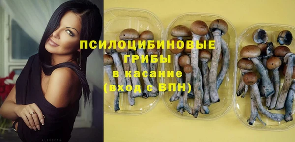 не бодяженный Алзамай