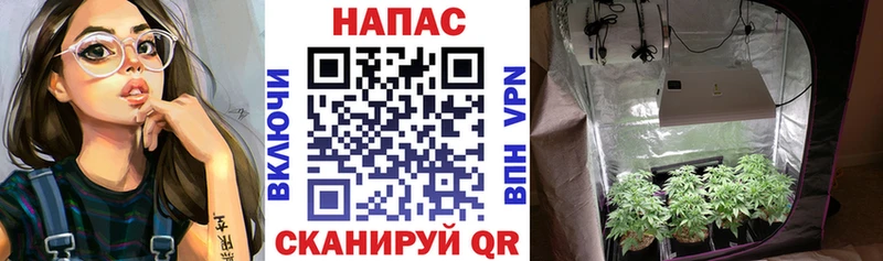 KRAKEN рабочий сайт  Аткарск  МАРИХУАНА планчик 